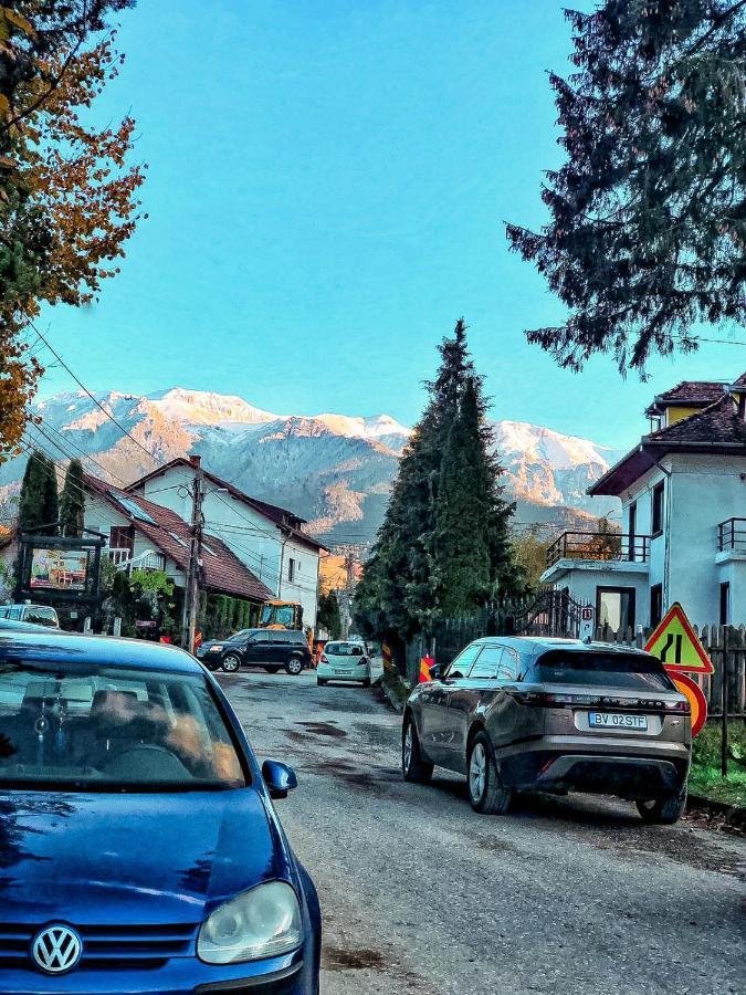 Transylvania Mountain View Cdi Bran (Brasov) Exterior foto