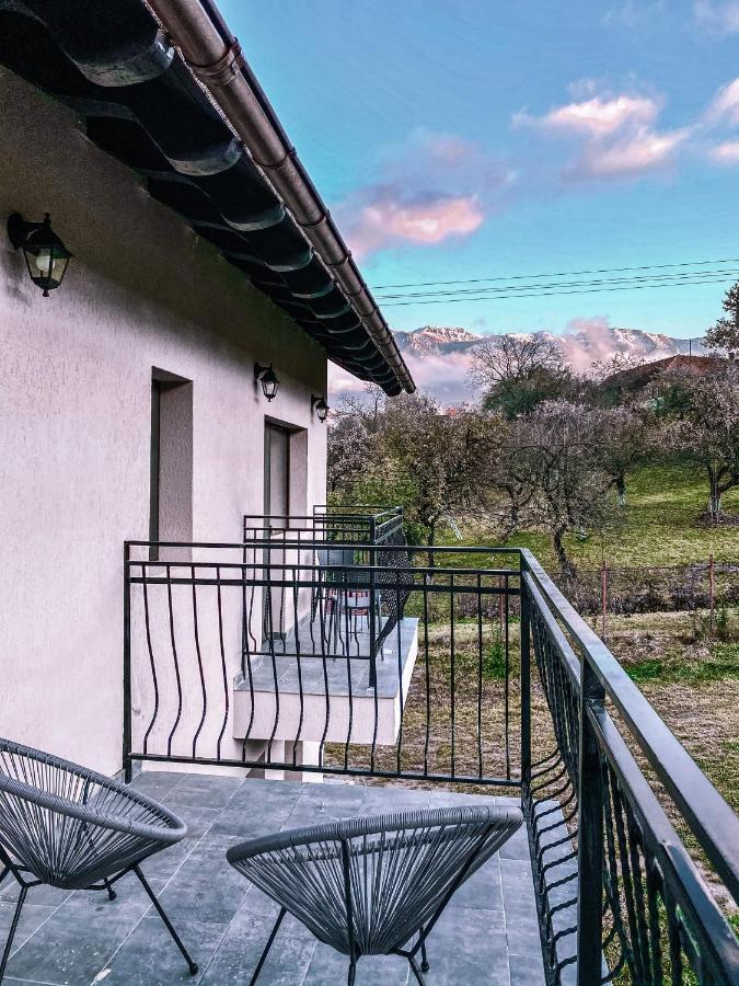 Transylvania Mountain View Cdi Bran (Brasov) Exterior foto