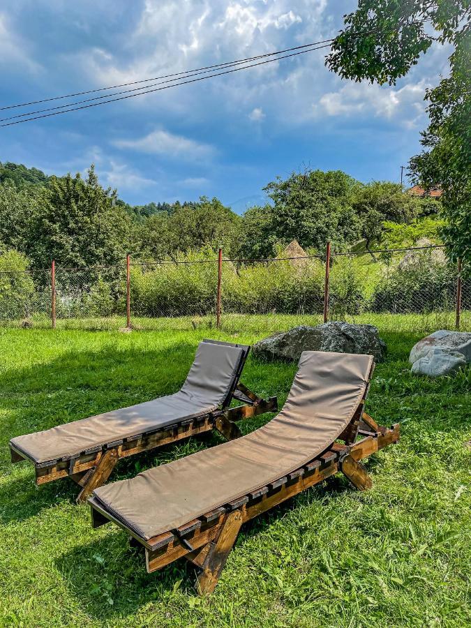 Transylvania Mountain View Cdi Bran (Brasov) Exterior foto