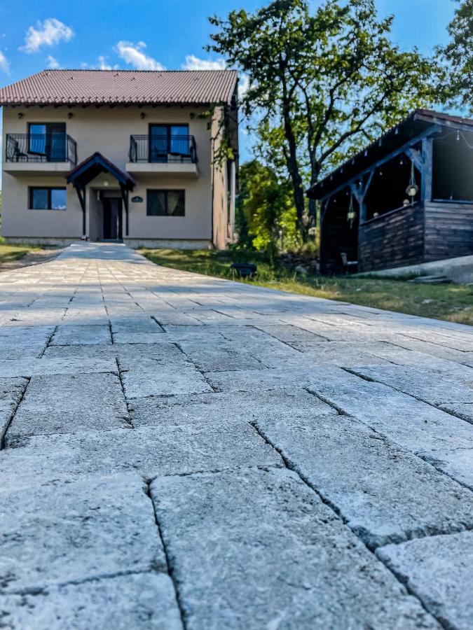 Transylvania Mountain View Cdi Bran (Brasov) Exterior foto