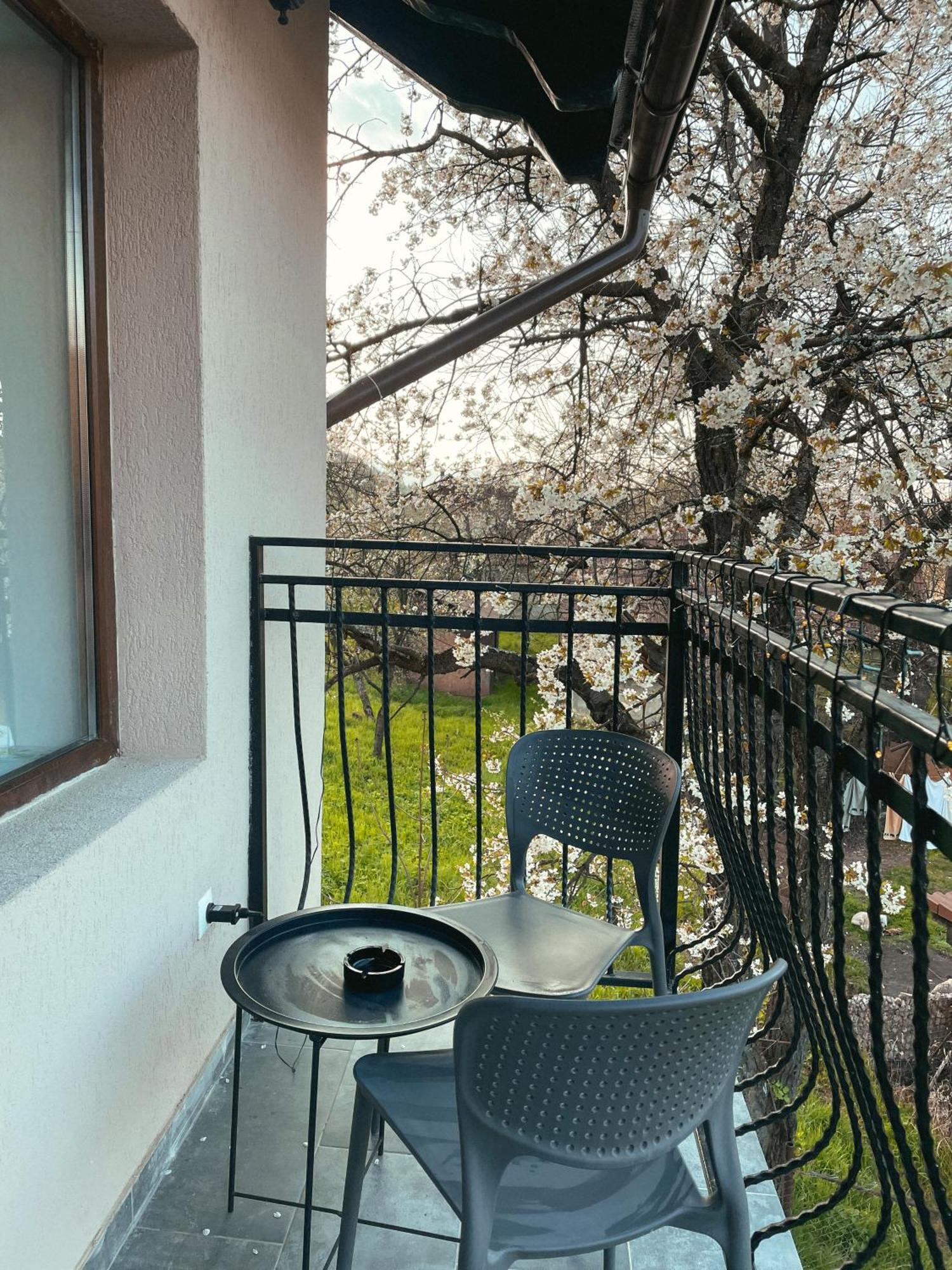 Transylvania Mountain View Cdi Bran (Brasov) Quarto foto